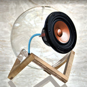 Large Transparent Speaker single